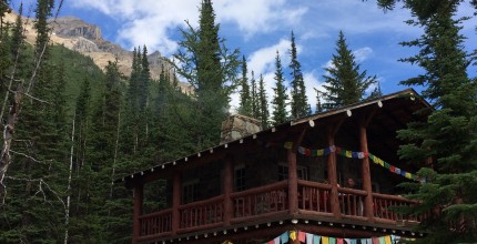 Week In Review Newsletter